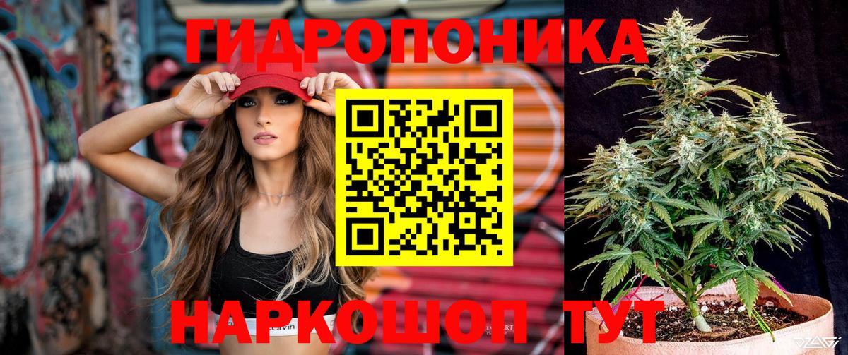 Канабис Amnesia Курск